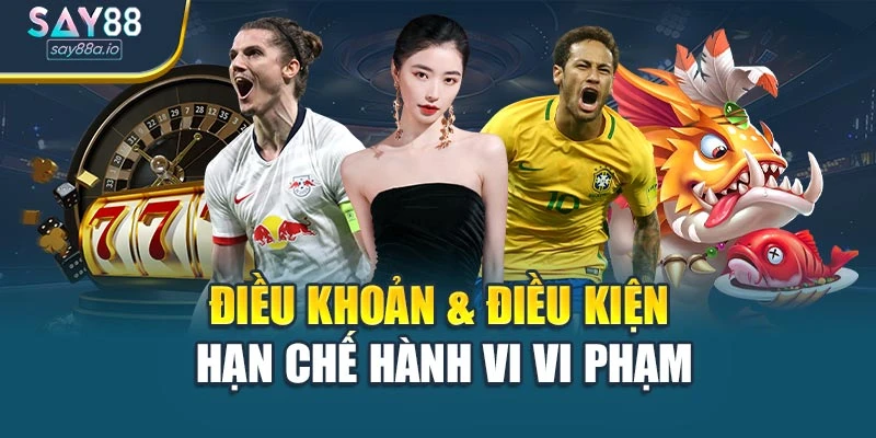 Điều khoản & điều kiện hạn chế hành vi vi phạm