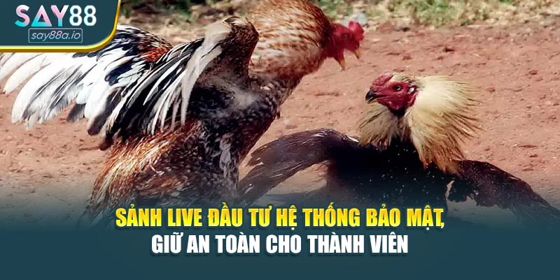 Sảnh Live đầu tư hệ thống bảo mật, giữ an toàn cho thành viên