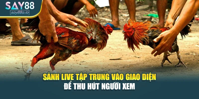 Sảnh live tập trung vào giao diện để thu hút người xem